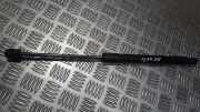 Gasdruckfeder Kofferraum Volkswagen Golf, V 2003.10 - 2008.10 1K6827550F,5561UU0535N159