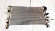 Wasserkühler Opel Insignia A, 2008.01 - 2013.01 Gebraucht,
