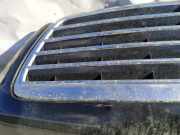 K?hlergrill Frontgrill K?hlergitter Mercedes-Benz W210, 1999.07 - 2002.03 facelift Gebraucht,