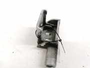 Türscharnier Hinten Renault Modus I 2004.01 - 2007.12 Gebraucht,