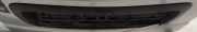 Kennzeichenleuchte Renault Megane, I 1995.11 - 1999.02 Gebraucht,
