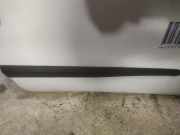 Zierleiste Tür Zier-Schutzleiste - Vorne Rechts Fiat Doblo, 2009.08 --> Gebraucht,