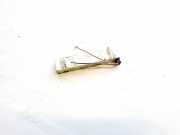 Antenne Verst?rker Renault Megane, III 2008.11 - 2012.06 28590006r,a2c53158504