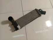 Ladeluftkühler Citroen C8, I 2002.07 - 2008.06 Gebraucht,