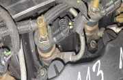 Einspritzdüse Citroen C5, II 2008.02 - 2011.01 0445110297,