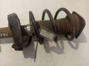 Fahrwerksfeder vorne Ford Focus, 2004.11 - 2008.06 Gebraucht,