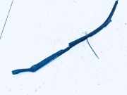 Windschutzscheibe Scheibenwischer Volkswagen Passat, B5+ 2000.11 - 2005.05 3b1955410c, ALT