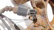 Sensor für ABS - Vorne Rechts Volkswagen Golf Plus, 2005.01 - 2008.05 Gebraucht,
