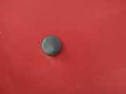 Waschwasserdüse Scheibenreinigung Opel Corsa, B 1993.03 - 2000.09 Gebraucht,