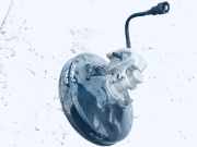 Bremskraftverstärker Citroen C4, I 2004.11 - 2008.06 9683915880,04586b22911 0204051709