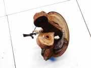 Achsschenkel Radnabe - Hinten Rechts Toyota Avensis, II 2003.04 - 2006.03 Gebraucht,