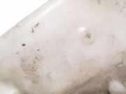 Scheibenwaschbeh?lter Vorne Wischwasserbeh?lter Dodge Caliber, 2006.08 - 2009.01 05303780AF,05303780AF AX159010-9294