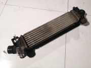 Ladeluftkühler Ford Mondeo, 2000.11 - 2007.03 1s7q9l440,1s7q-9l440