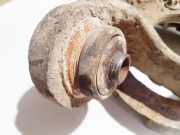 Achsschenkel Radnabe - Hinten Linke BMW 5-Series, E60 E61 2003.07 - 2010.03 Gebraucht,