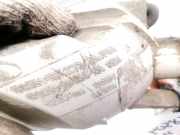 Nebelschlussleuchte - Hinten Linke Ford Focus, 2004.11 - 2008.06 5M5115K273AA,5M51-15K273-AA