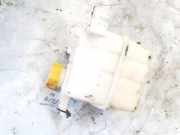 Ausgleichsbeh?lter Chevrolet Captiva, 2006.01 - 2011.06 96629078,