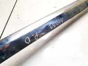 Zierleiste Tür Zier-Schutzleiste - Vorne Rechts Citroen C5, II 2008.02 - 2011.01 Gebraucht,