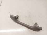 Haltegriff Haltegriff Verdeckgriff - Vorne Linke Nissan Primera, P12 2002.01 - 2008.12 8200000099,8200000099 98193
