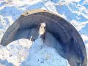 Radhausschale - Hinten Linke Audi A6, C6 2005.01 - 2008.10 Gebraucht,