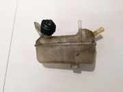 Ausgleichsbehälter Renault Megane, II 2002.11 - 2006.06 8200273157,00074100e