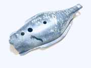 Unterfahrschutz Mercedes-Benz W203, 2000.05 - 2004.02 a2033520088,