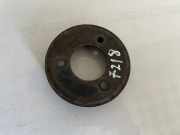 Riemenscheibe für Wasserpumpe Peugeot Boxer, 2002.04 - 2006.04 facelift 500315555,ec54-3402