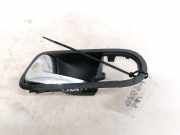 T?rinnengriff - Vorne Linke Seat Alhambra, 2000.06 - 2010.03 facelift 7M3837113B,YM21A24649