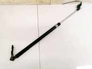 Gasdruckfeder Kofferraum Toyota Previa, 2000.02 - 2006.01 Gebraucht,