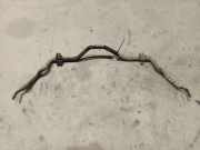 Stabilisator Vorne Mazda Premacy, 1999.01 - 2005.03 Gebraucht,