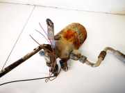 Trockner Klimaanlage Mercedes-Benz W210, 1999.07 - 2002.03 facelift Gebraucht,