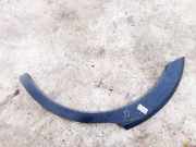 Beplankung Leiste Kotflügel - Hinten Rechts Chevrolet Captiva, 2006.01 - 2011.06 96439716,