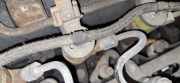 Einspritzdüse Toyota Yaris Verso, 1999.11 - 2005.09 0445110215,