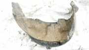 Radhausschale - Hinten Rechts Mercedes-Benz A-CLASS, W168, 1997.07 - 2001.06 1686985830,1686985830