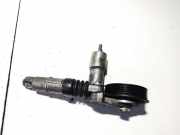 Spannrolle Skoda Superb, I 2001.12 - 2008.03 Gebraucht,