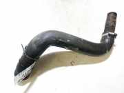 Kühlerschlauch Mazda 2, DY 2003.02 - 2007.10 Gebraucht,