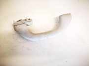 Haltegriff Haltegriff Verdeckgriff - Hinten Linke Volkswagen Bora, 1998.01 - 2005.12 1j0857607n, AJM