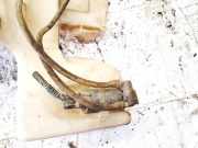 Waschwasserpumpe Scheibenreinigung Ford Galaxy, Mk III 2006.04 - 2010.06 Gebraucht,