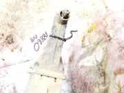 Ladeluftkühler Fiat Punto, 2005.10 - 2012.03 Gebraucht,