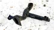 Schlauch für Luftversorgung Renault Kangoo, 2008.02 - 2020 8200612287,