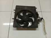 Kühlerlüfter Lüftermotor Peugeot 1007, 2005.04 - 2009.12 Gebraucht ,