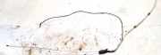 GPS Antenne Mazda 323, 1998.09 - 2004.05 6121651,