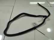Kühlerschlauch Mazda 3, BK 2003.10 - 2009.06 Gebraucht,