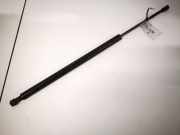 Gasdruckfeder Kofferraum BMW X5, E53 2000.01 - 2003 51248402405,5124-8402405