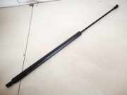 R?ckleuchten innen - Hinten Linke Citroen Saxo, I 1999.11 - 2004.04 facelift 9639168380,