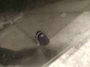 Waschwasserd?se Scheibenreinigung Rover 600, 1993.08 - 1999.02 Gebraucht,uysed