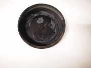 Blende Scheinwerfer - Vorne Renault Grand Scenic, II 2009.02 - 2013.06 89002008d,