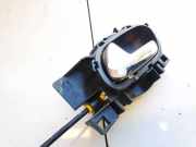 Türinnengriff - Hinten Linke Peugeot 207, 2006.02 - 2009.06 303966,