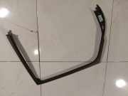 Schutzleiste Tür - Hinten Rechts Renault Scenic, II 2003.06 - 2006.06 Gebraucht,