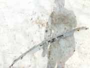 Kennzeichenleuchte Opel Astra, H 2004.03 - 2009.12 Gebraucht,