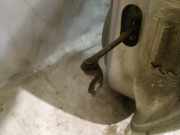 Türfangband Türbremse Türstopper - Vorne Linke Renault Scenic, I 1999.09 - 2003.06 facelift Gebraucht,